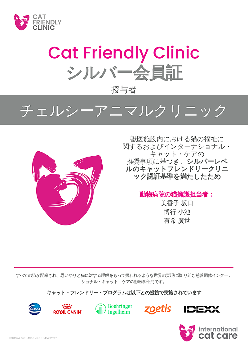 キャットフレンドリークリニックに認定されました